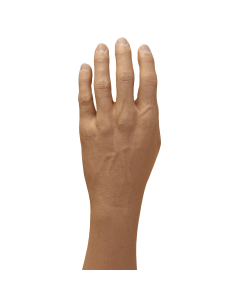 Male Adult 3 1/4" Glove